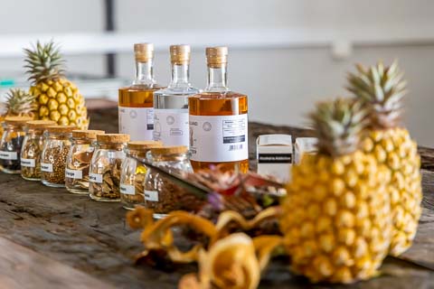 Zululand Distillers  - Mazuri Pineapple Farm